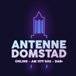 Antenne Domstad