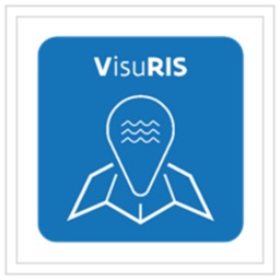 VisuRIS