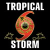 REGGAE RADIO STORM