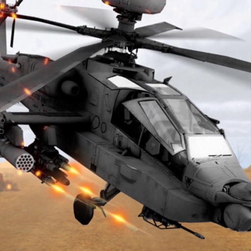 Helicopter Gunship Combat