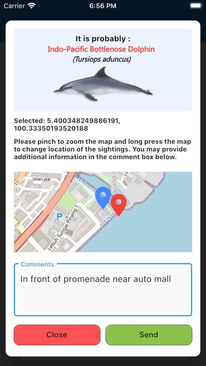 Marine Mammal App