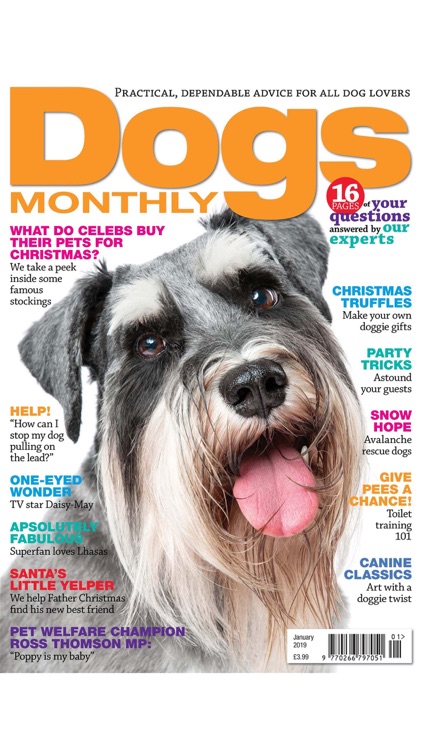 Dogs Monthly Magazine