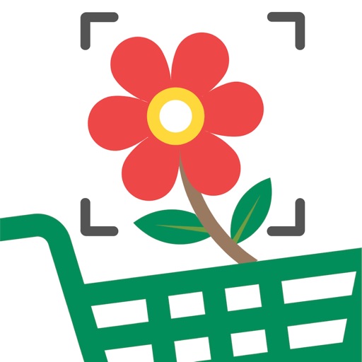 FlowerCam Gartenblumen kaufen