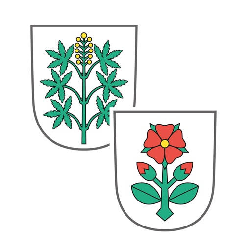 Wangen-Brüttisellen icon