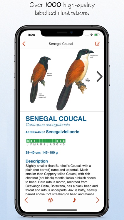 Sasol eBirds Southern Africa screenshot-4