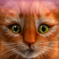 My Kitten (Cat Simulator)