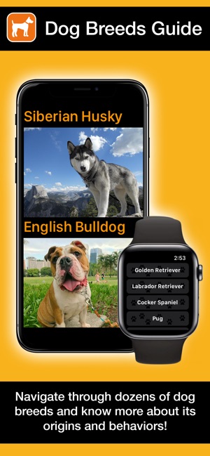 Dogs Guide for Watch: Breeds(圖1)-速報App