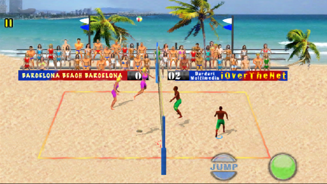 Over The Net Beach Volleyball