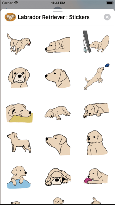 Labrador Retriever : Stickers screenshot 2