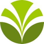 OLAM SM Production