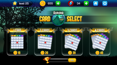 Absolute Bingo! Play Fun Games screenshot 3