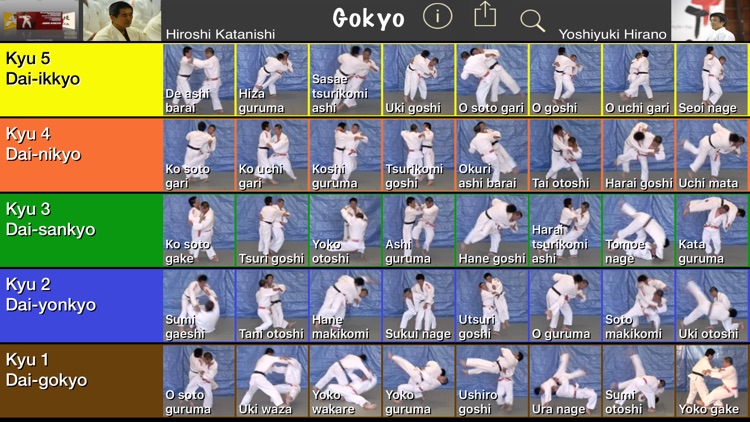 Judo Gokyo