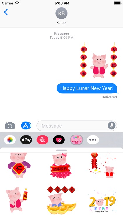 2019 Chinese New Year Pig CNY