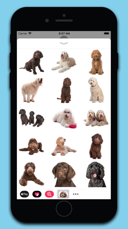 Labradoodle Stickers