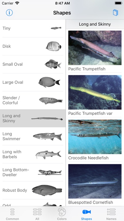 Snorkel Fish Hawaii for iPhone screenshot-6