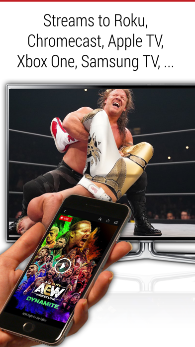 Image of FITE - Boxing, Wrestling, MMA