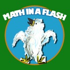 Math In A Flash (lite)