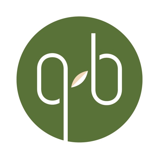 qb quantobasta icon