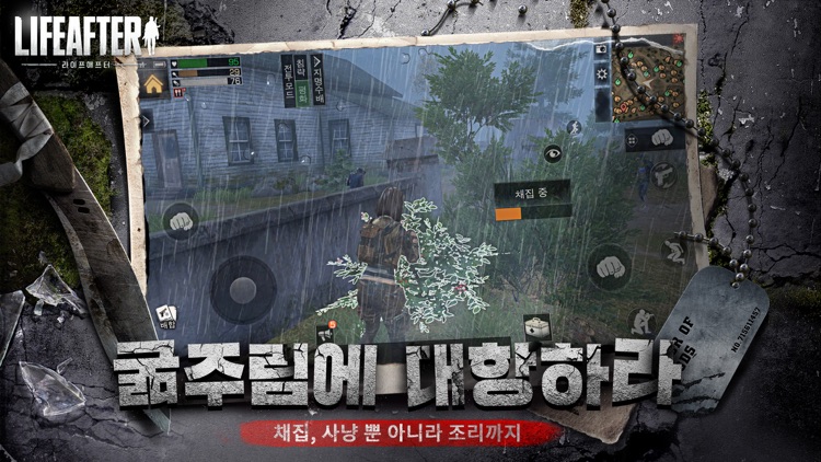 라이프애프터