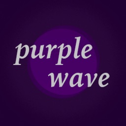 Purple Wave Lorton Investments