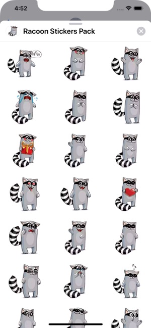 Racoon Stickers Pack