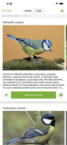 Captura de Pantalla 6 Merlin Bird ID por Cornell Lab iphone