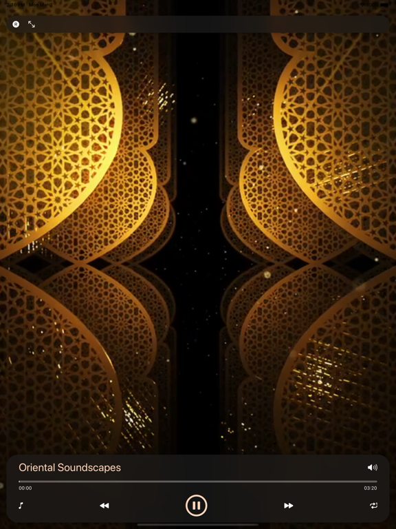 Arabic Music and Songs screenshot 2