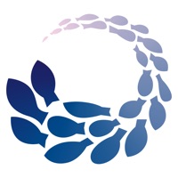 다이빙 일지 - Dive Number