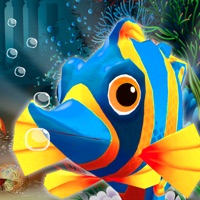 Fish Race app funktioniert nicht? Probleme und Störung