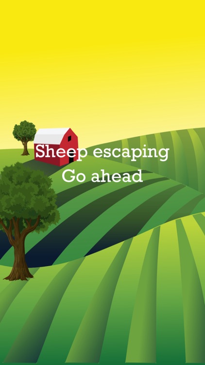 Sheep escaping