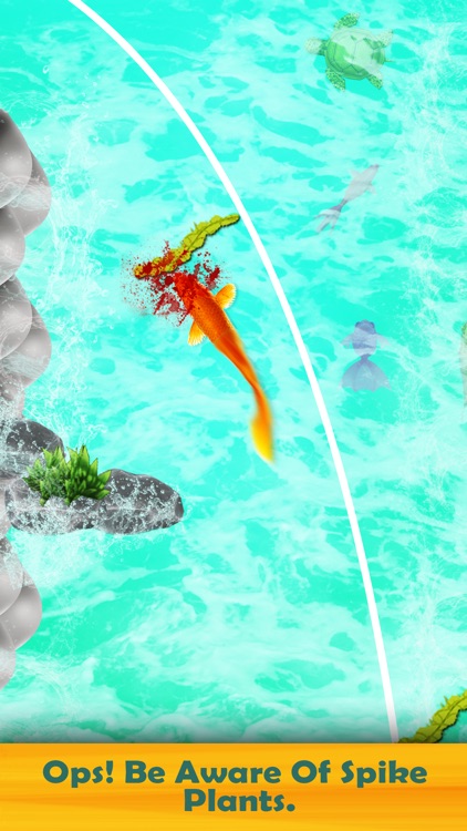 Koi Fish New 3D Game 2019 screenshot-3