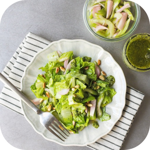 Green Recipes - Salads, Soup icon