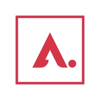 A. Curtis Andrew Auction