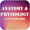 Anatomy & Physiology 22 topics