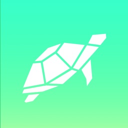 Turtle - Challenge the world!