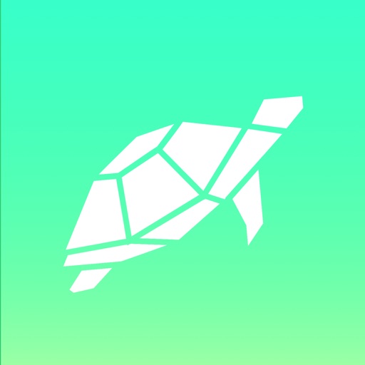 Turtle - Challenge the world!