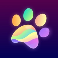  Live Fonds d'écran : Meow Fond Application Similaire