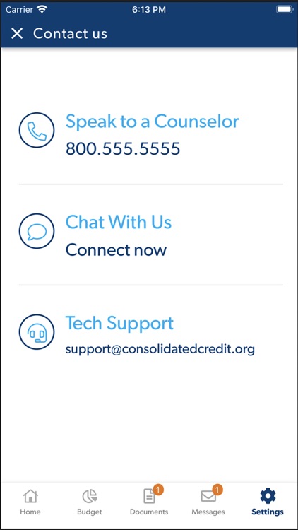 Consolidated Credit Budget App screenshot-5