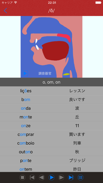 ポルトガル語 - ポルトガル語の発音や語彙を学習 screenshot1