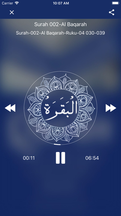 How to cancel & delete Tafheem ul Quran: Audio from iphone & ipad 4