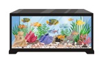Aquarium Real Time  4K