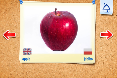 English Academy - Szybka Nauka screenshot 2