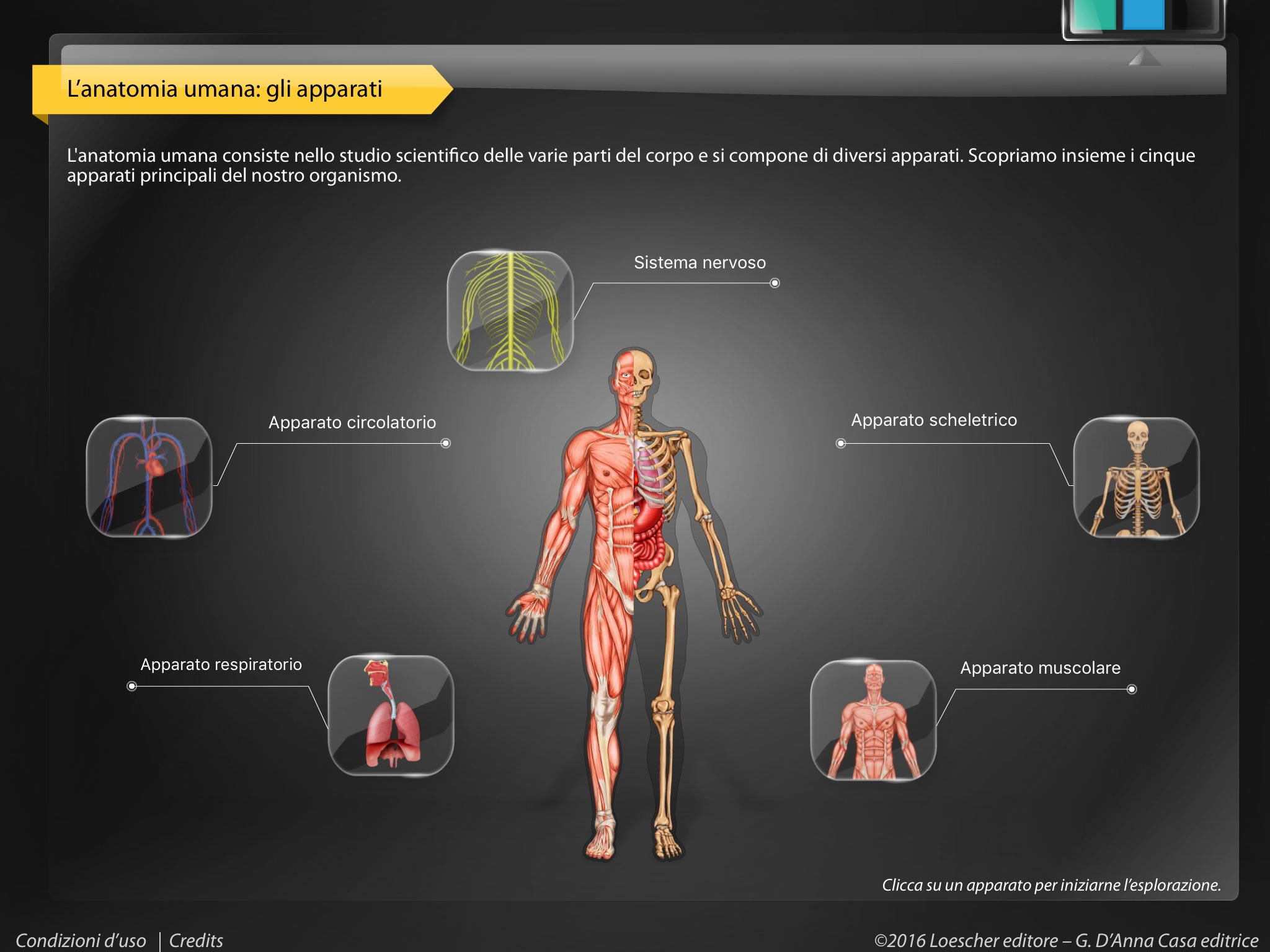 APPunti di anatomia Lite screenshot 2