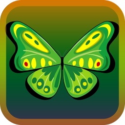 ButterflyLink