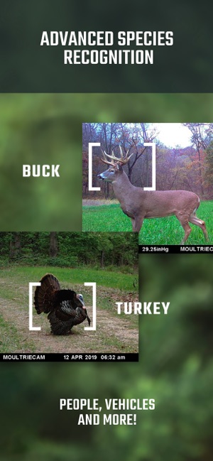 Moultrie Mobile Wireless On The App Store