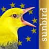 BIRD SONGS Europe North Africa - Mullen & Pohland GbR