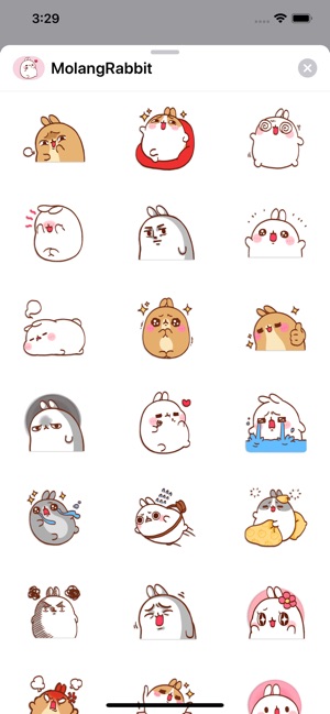 Molang The Rabbit(圖1)-速報App