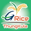 G-RICE