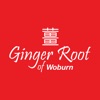 Ginger Root of Woburn