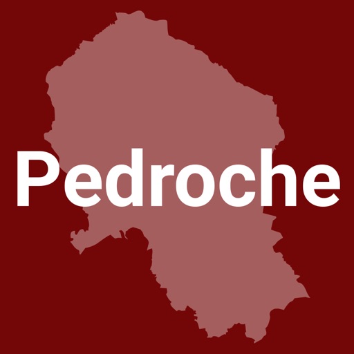 Pedroche